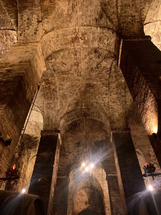 #LAVITA SIEME - Wine TASTING In a 700-year-old CELLAR