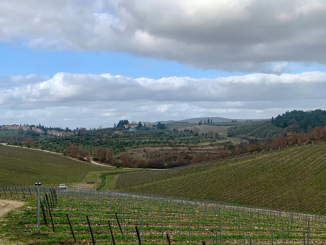 The cool new but also ancient trend in Italian Wine you haven’t heard about