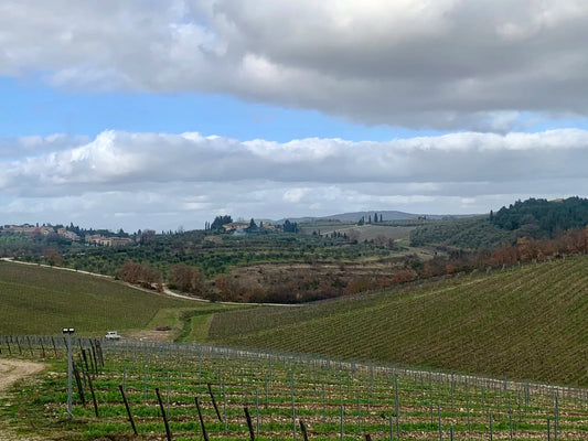 The cool new but also ancient trend in Italian Wine you haven’t heard about