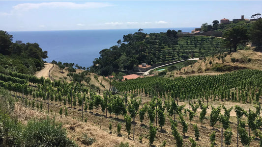 #LAVITASIEME A Day on Isola Gorgona